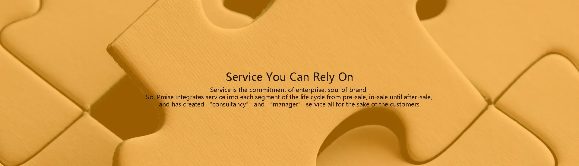 Pmise service and support
